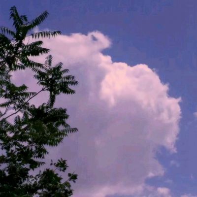 网球大师无限钻石下载